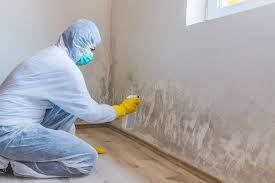 Best Mold Documentation for Insurance Claims  in Fairfield Bay, AR